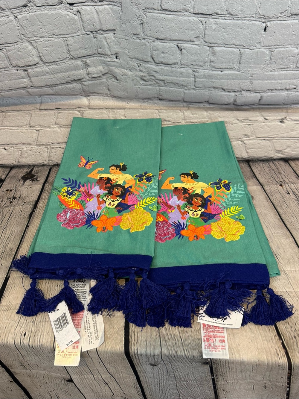 Disney Parks Set of 2 Encanto Dish Towels